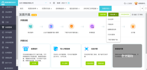 Excel個性化記賬軟件定制與企業(yè)管理系統(tǒng)開發(fā) 高效實用的內部解決方案